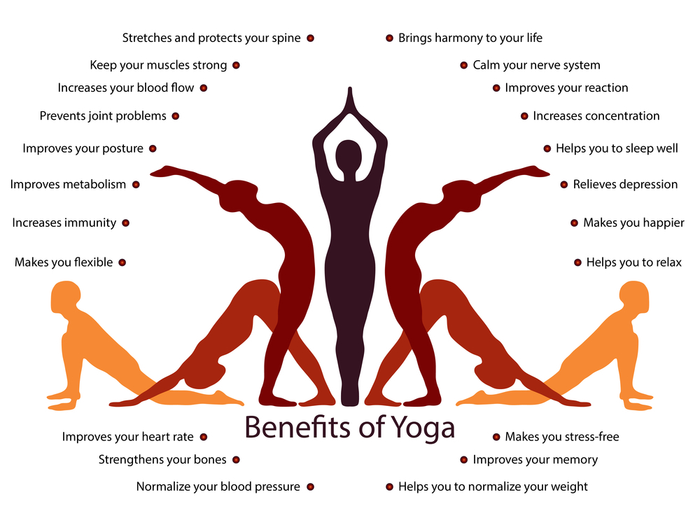 Explore the World of Yoga Poses Names For Beginners