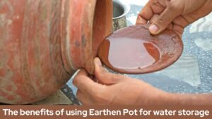 The benefits of using Earthen Pot for water storage