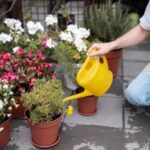 How to Landscape Your Garden at Home: Easy Tips and Ideas