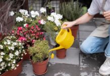 How to Landscape Your Garden at Home: Easy Tips and Ideas