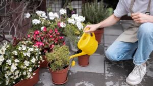 How to Landscape Your Garden at Home: Easy Tips and Ideas