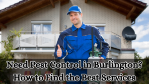 Need Pest Control in Burlington? How to Find the Best Services