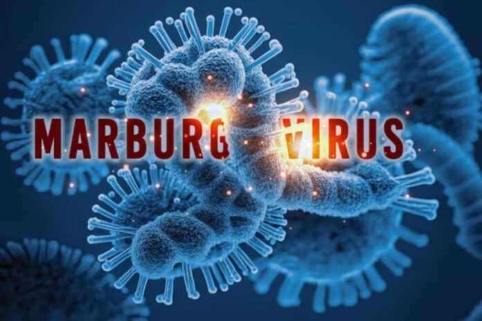 Marburg Virus